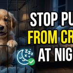 Stop Your Puppy from Crying in the Crate at Night