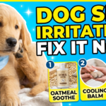 Tips for Treating Dog Skin Irritation After Grooming