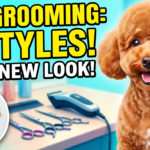 7 Grooming Styles to Give Your Dog