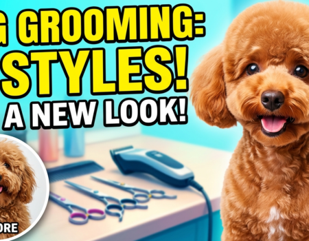 7 Grooming Styles to Give Your Dog