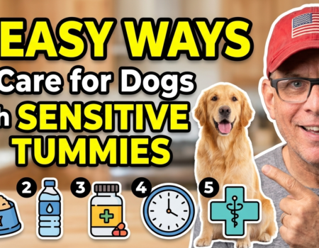 5 Easy Ways to Care for Dogs with Sensitive Tummies