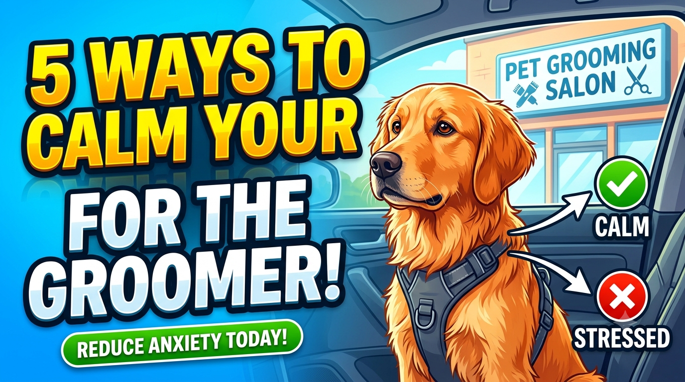 5 Ways To Calm Your Dog Before Going to the Groomer