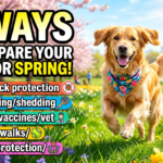 5 Ways To Prepare Your Dog For Spring