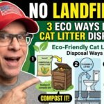 Eco-friendly ways to dispose any kind of cat litter