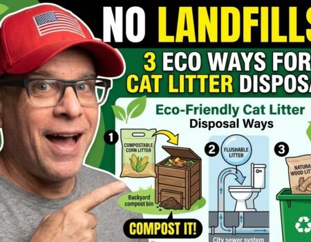Eco-friendly ways to dispose any kind of cat litter