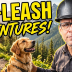 How To Train Your Dog For Off-Leash Adventures
