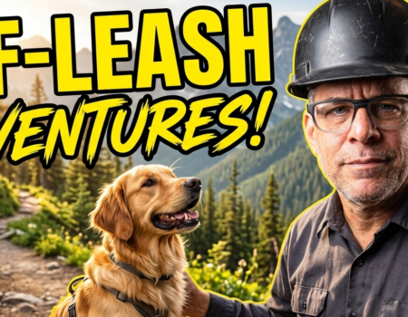 How To Train Your Dog For Off-Leash Adventures