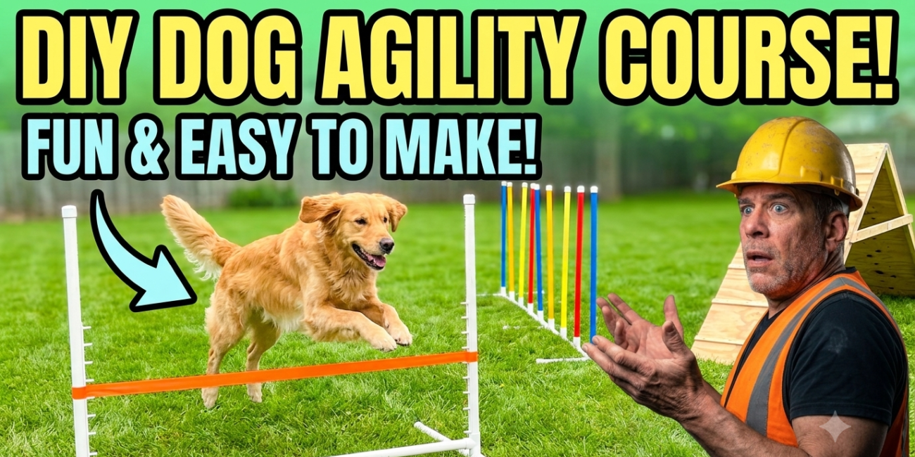 How to Make a Dog Agility Course