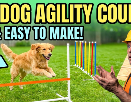 How to Make a Dog Agility Course