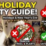 How to keep your cat safe and healthy during Holidays