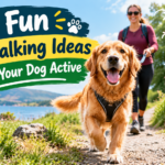 10 Fun Dog Walking Ideas to Keep Your Dog Active