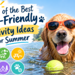6 of the best dog-friendly activity ideas for summer