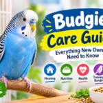 Budgie Care Guide