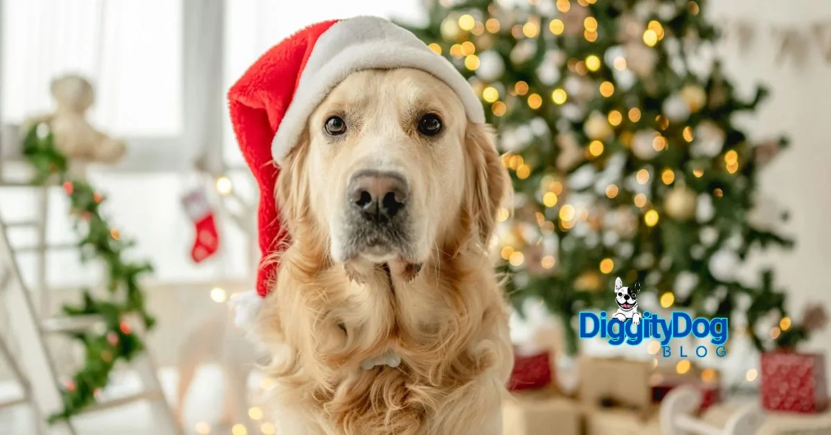 Keep Your Dog Healthy